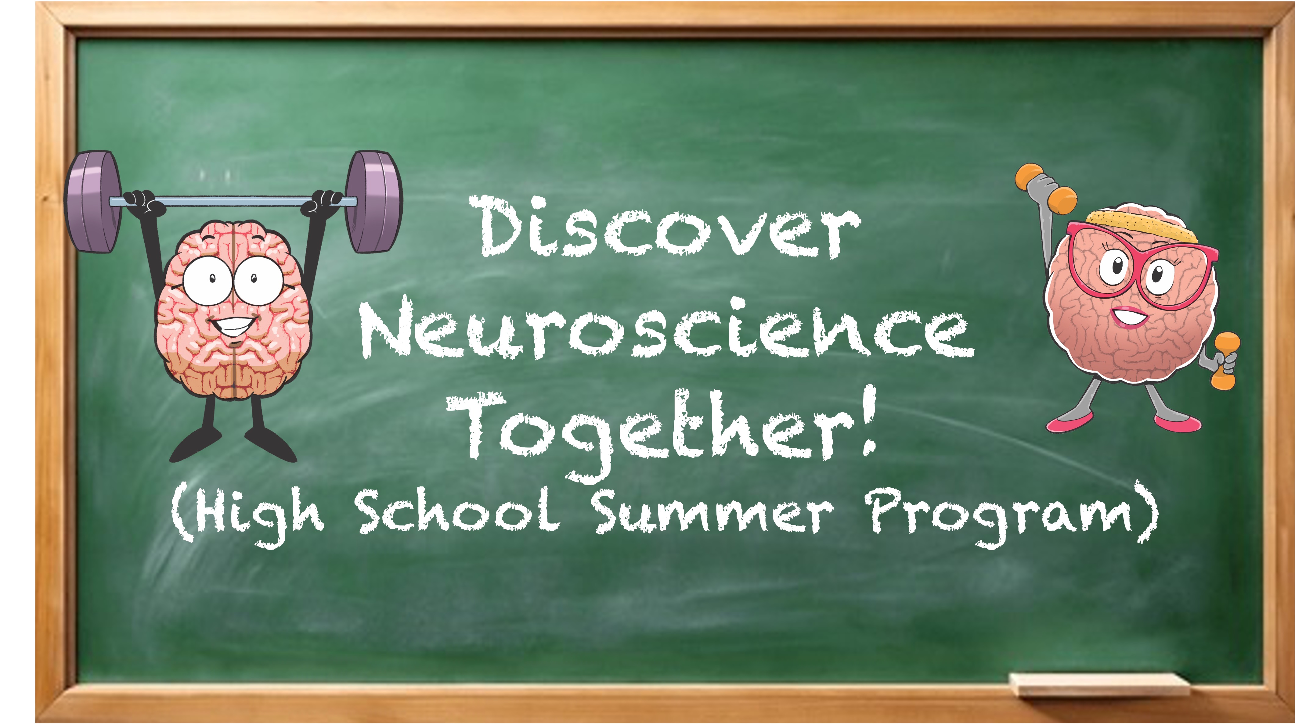 High School Students Summer Program
